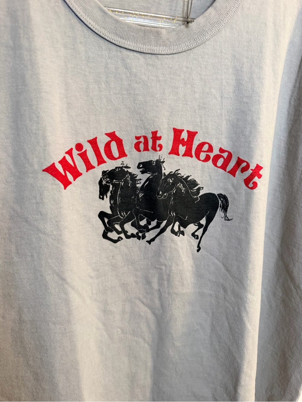 Wild at Heart Graphic Tee - Gray Short Sleeve - Picture 3 of 7